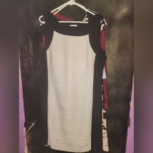 Calvin Klein 18w dress